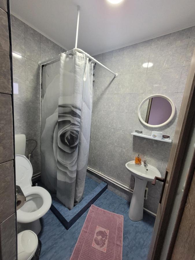 Casa Ionita Apartment 2 Mai Luaran gambar